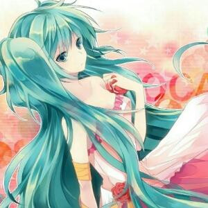 待茉莉花盛开时