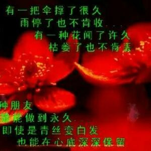 走向世界