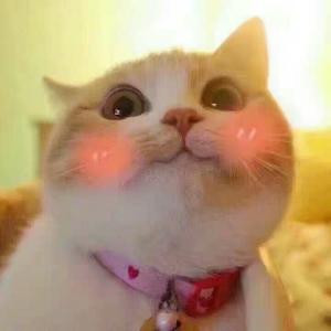 小喵喵