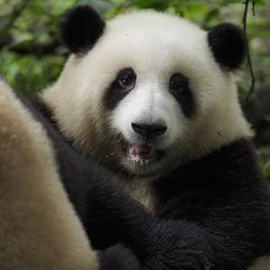 灯火阑珊
