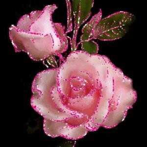 王 露   雪 