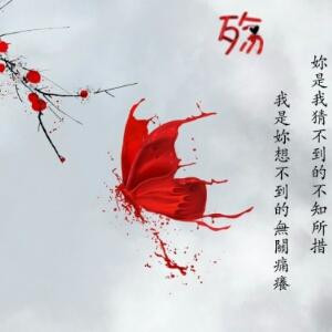 只如初见