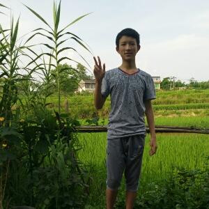 风清杨