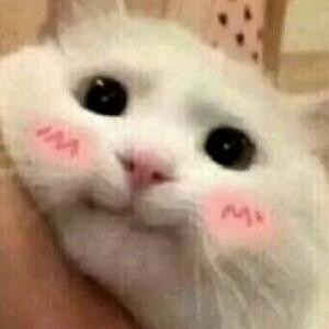 小咪