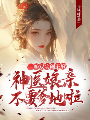 一胎双宝闹王府，神医娘亲不要爹地啦