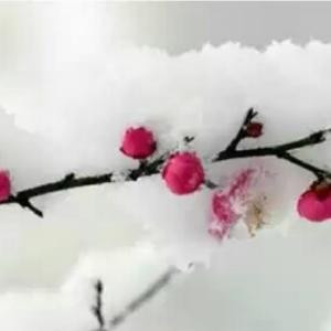 过去亦是回忆