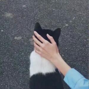 曦
