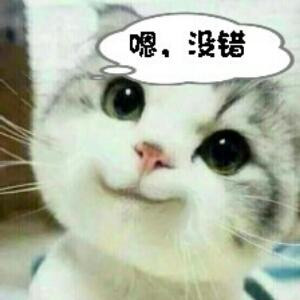 南极的北极熊