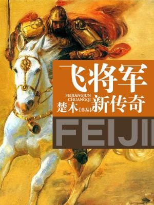 飞将军新传奇
