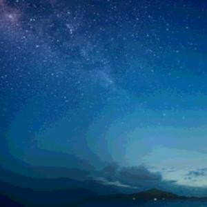 月夜枫