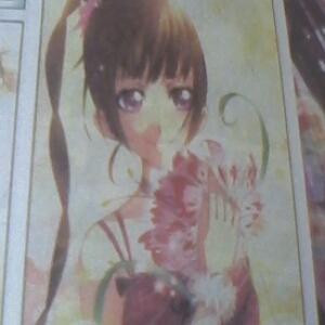 四个姐妹花