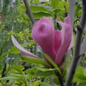 点点