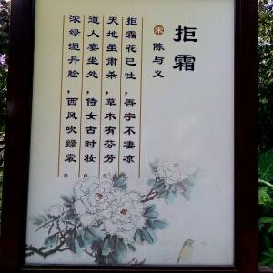 我是宝宝