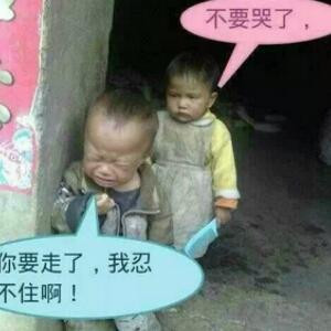 书呆