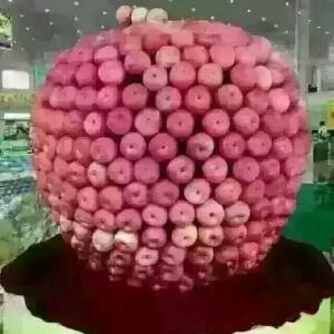 灵儿