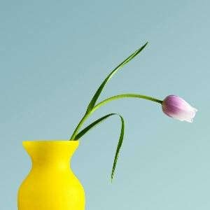 小胡