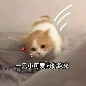 一只鱼呀鱼