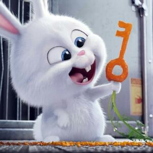 角落里的一抹伤