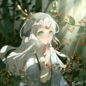 姽婳
