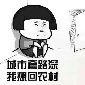 龙柒