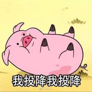 汤渍菌