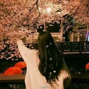 本银