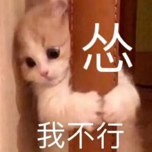 来一碗粗面