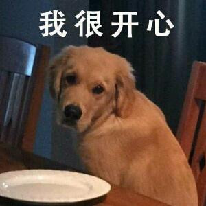 豆芽