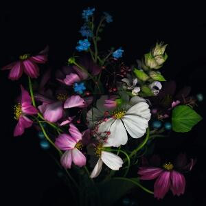 悠悠