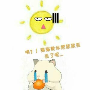 权皮