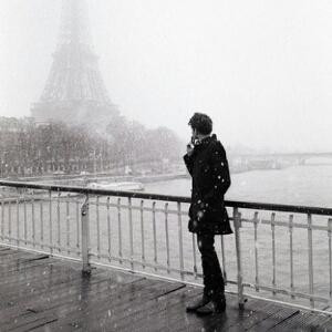 热带雨林