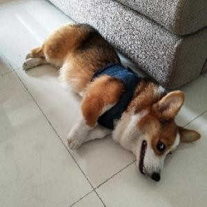 苍穹乄无