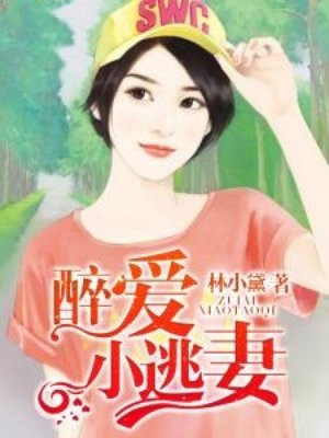 醉爱小逃妻