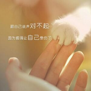 雅静