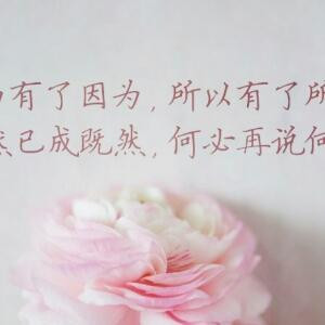 静心