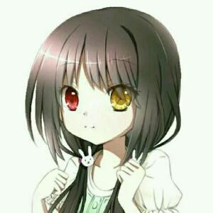 花开半夏凉城空