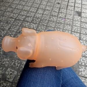 尘封的夏