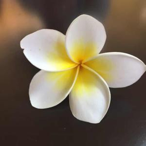 上官飞凤