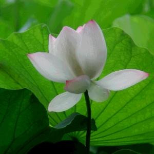 沐春风