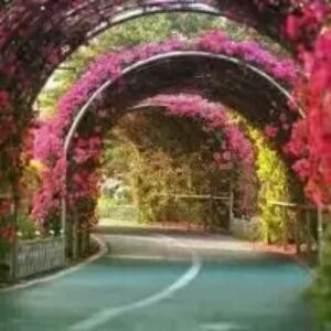 狮子座星座女神