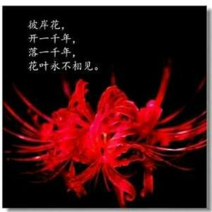 醉墨漓烟