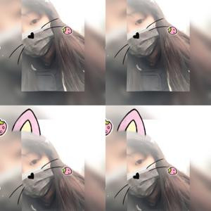 花花世界