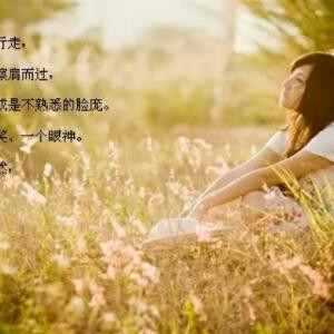 风中雨儿