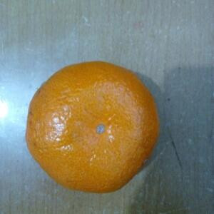 记性不太好