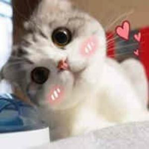 小林