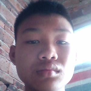 陈真纤