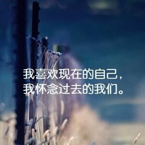 情殿