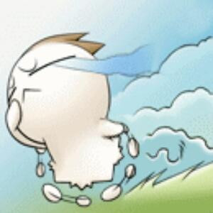 梦歆人