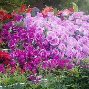 花好月圆