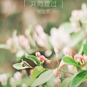 尚雨露